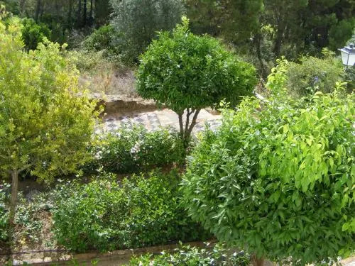 Apartamento Los Naranjos