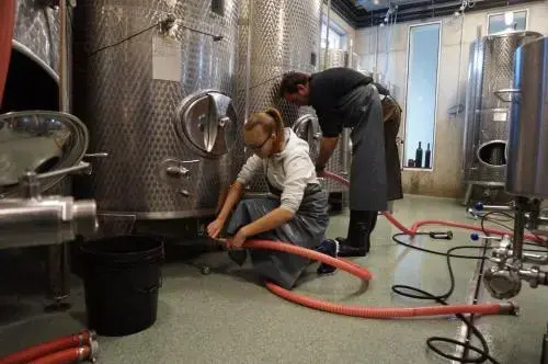 Weingut und Gästezimmer Perner