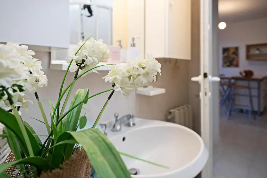 APARTMENT ORTENSIA - Regarda Travel