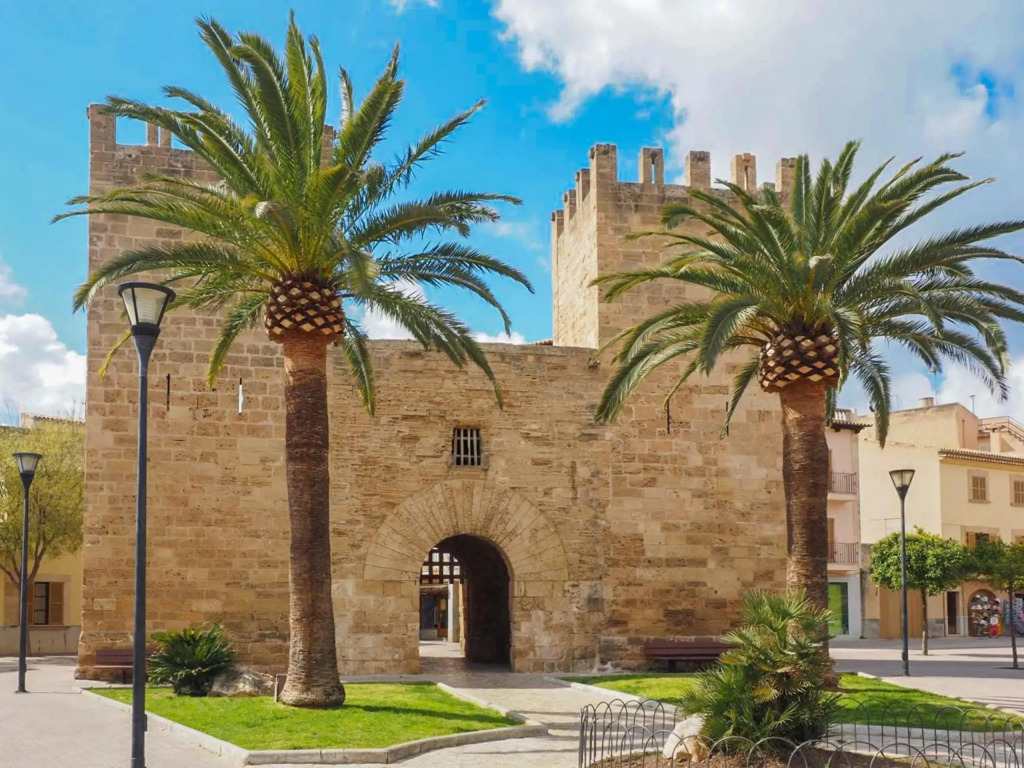 Alcudia-3836, Mallorca
