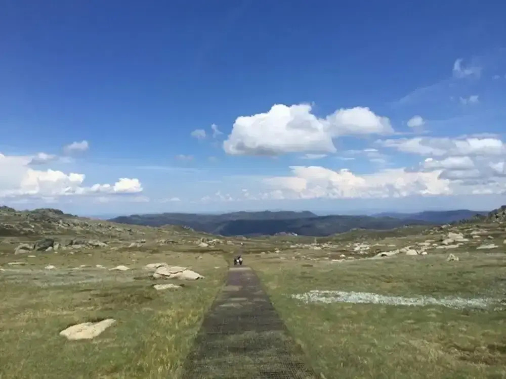 Three Bears 2 - Thredbo