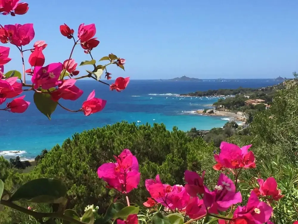 Studio in Ajaccio, with Wonderful Sea View, Furnished Terrace And Wifi - 500 M From the Beach