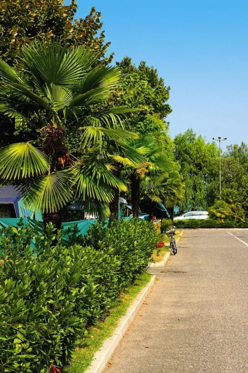 Appartement in the Pretty Residence Tiglio in Sirmione Near the Lake-ex TUI
