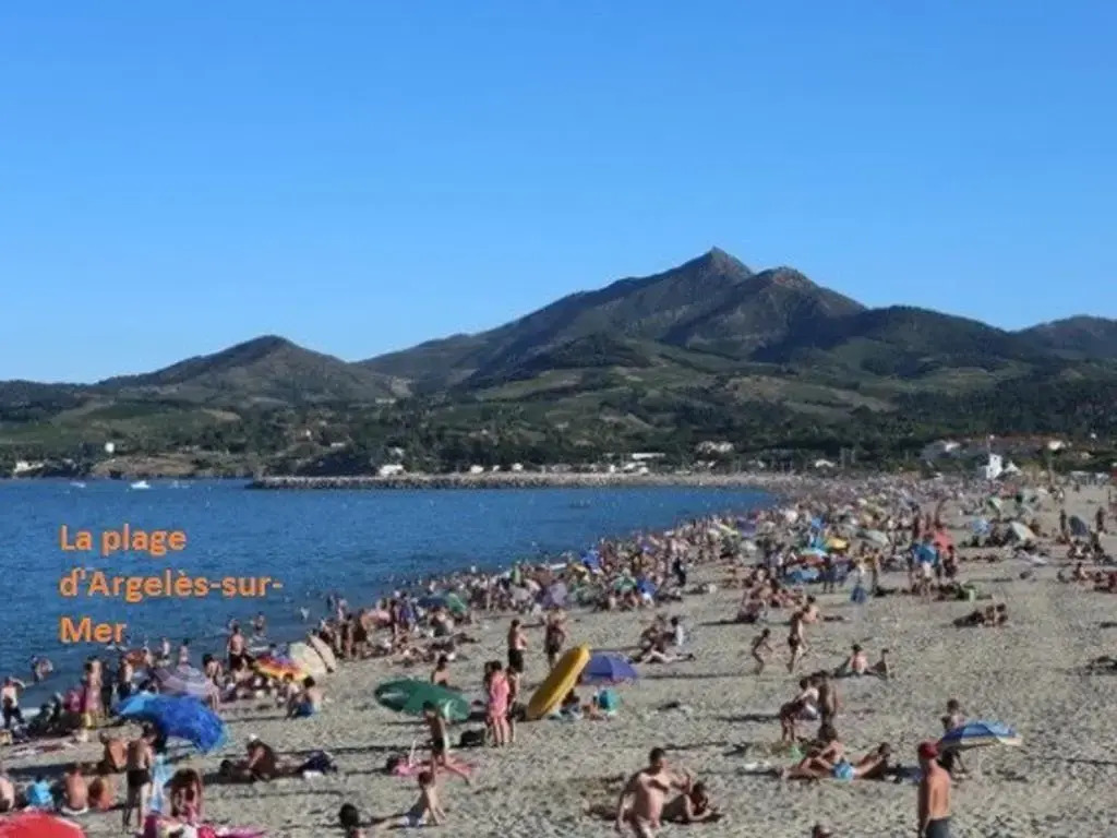 Appartement Argelès-sur-Mer, 2 pièces, 4 personnes - FR-1-225-303