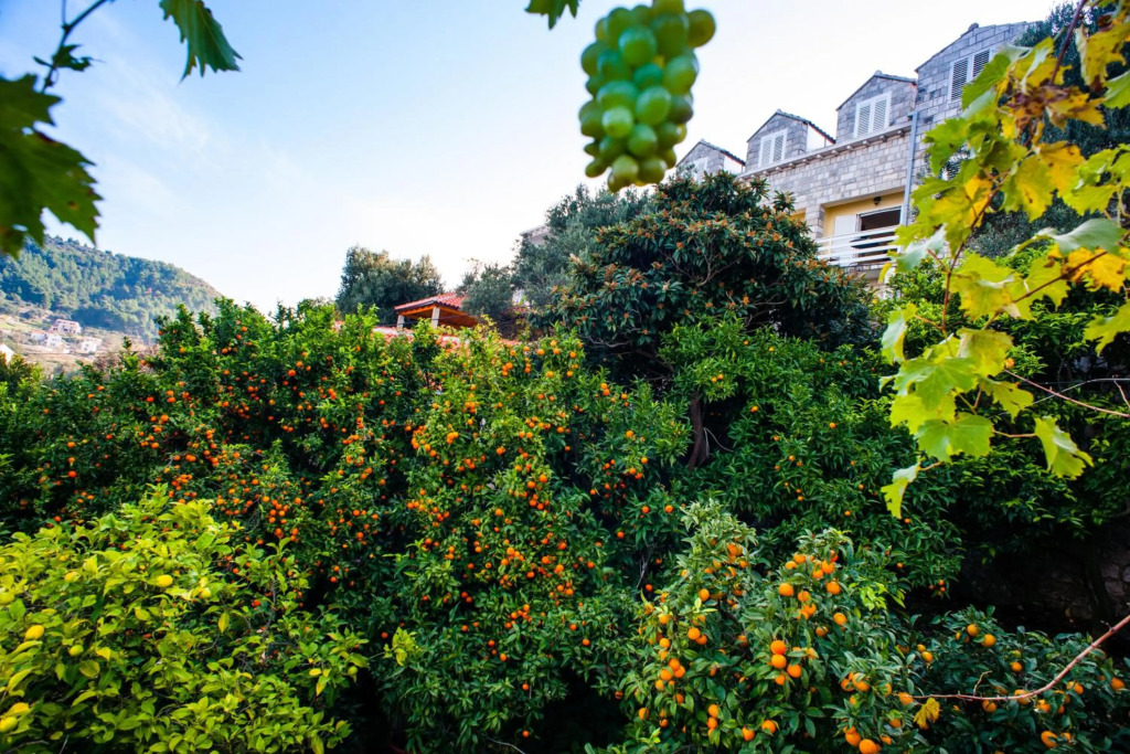 Boutique Hotel Tomić