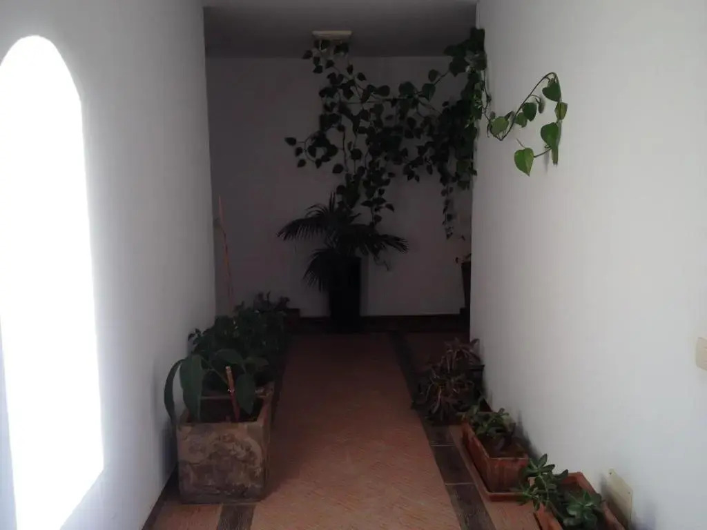 Tenerife Colonial Suite
