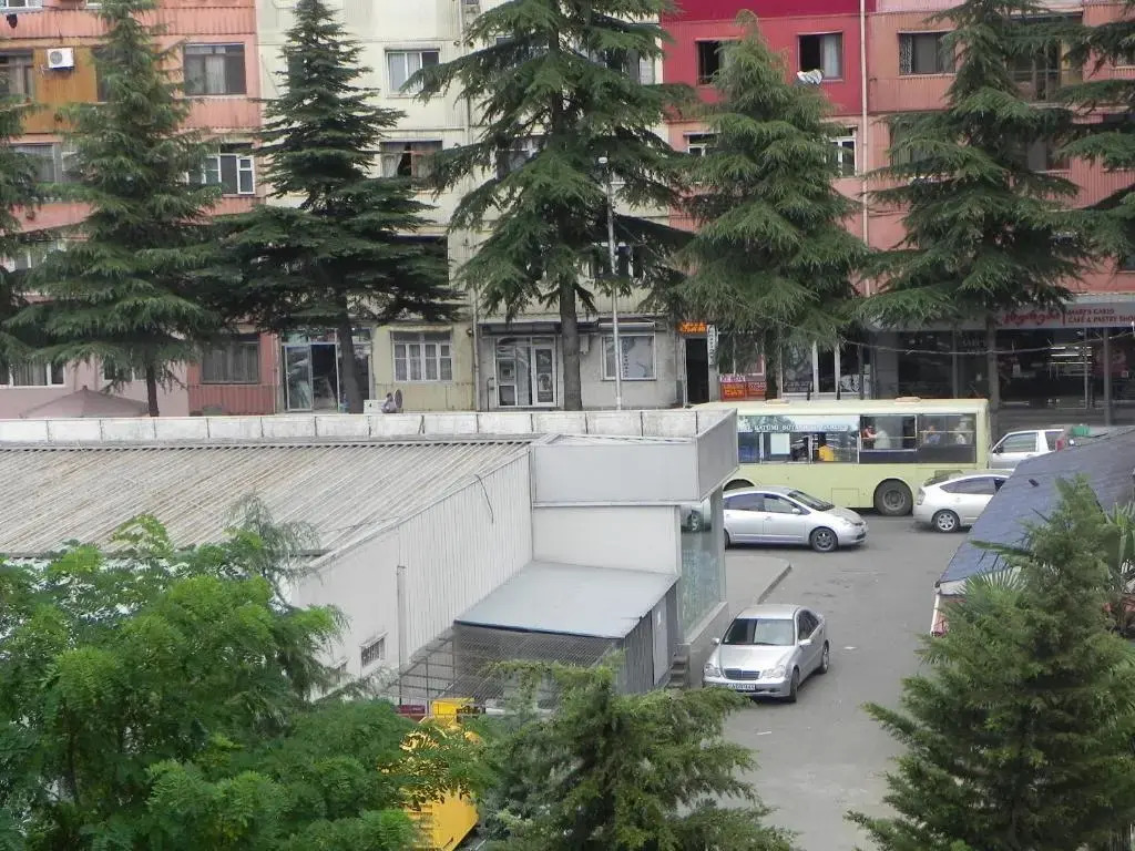 Comfortable apartment in Batumi