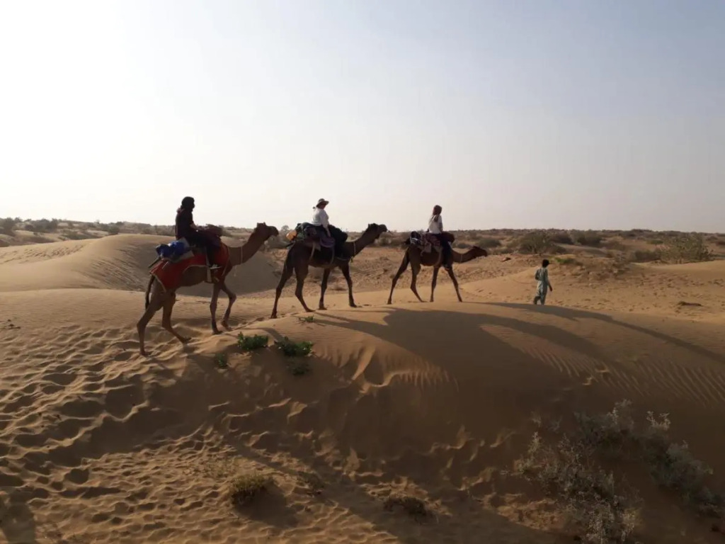 Hotel Pol Haveli Jaisalmer