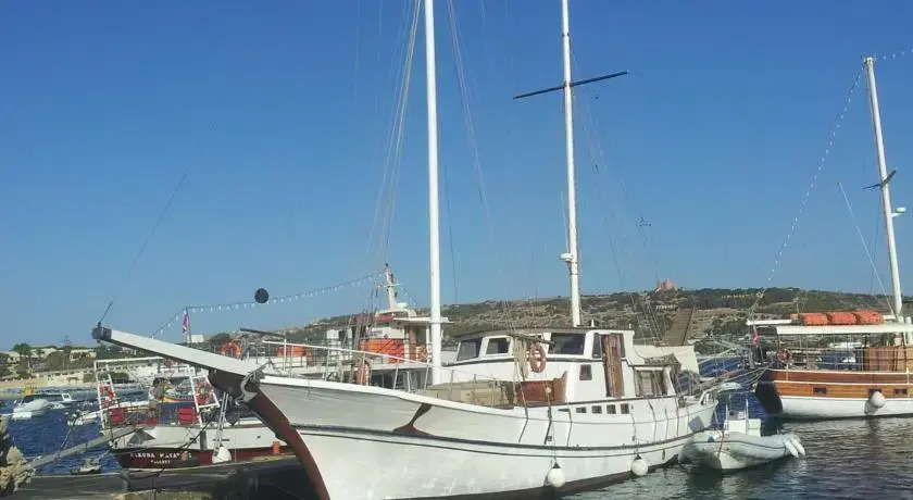 Non Solo Charter