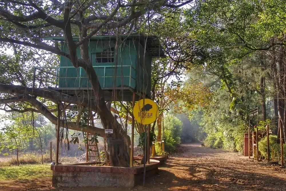 The Jungle Resort Amba