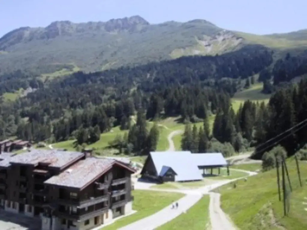 Appartement Valmorel, 3 pièces, 6 personnes - FR-1-356-316