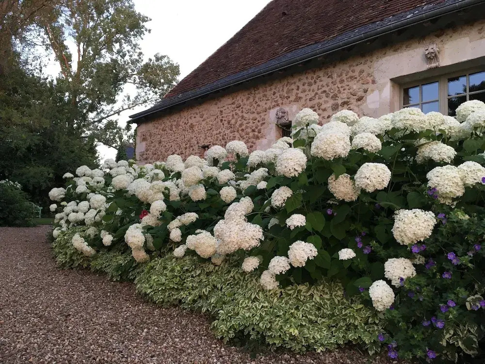 Le Manoir de Maucartier