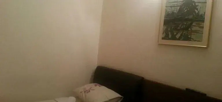 Camellia Budget Inn