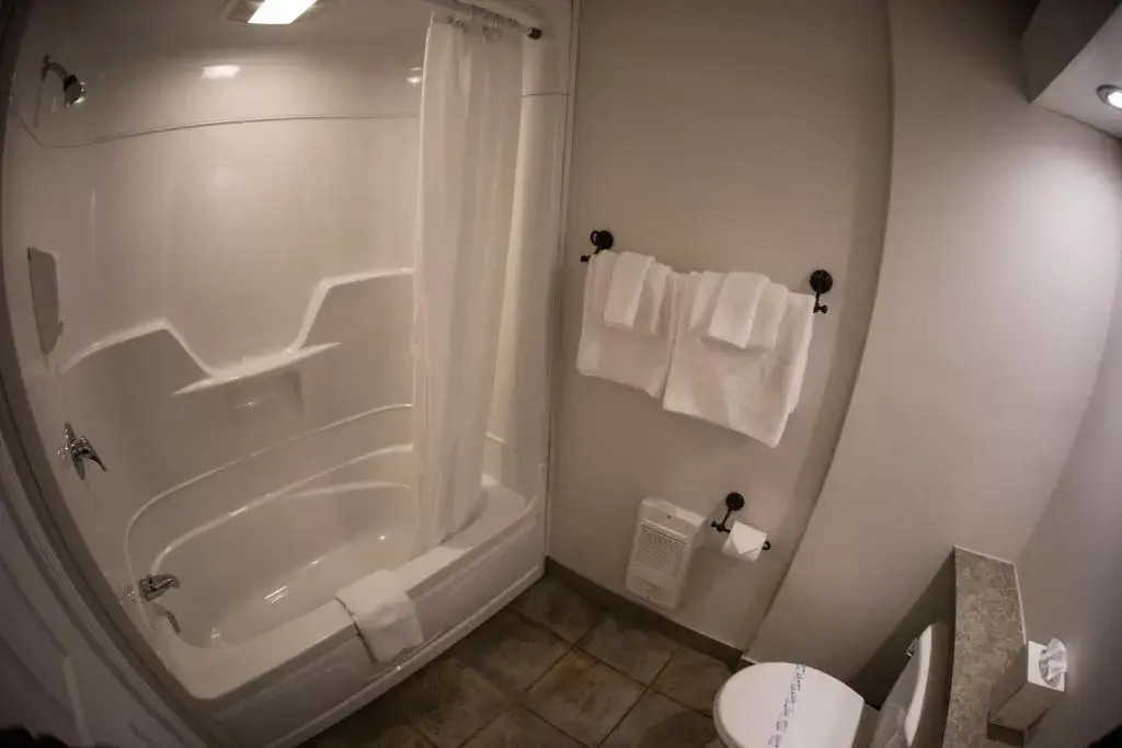 Le Montagnard – Auberge/Hôtel & chalets