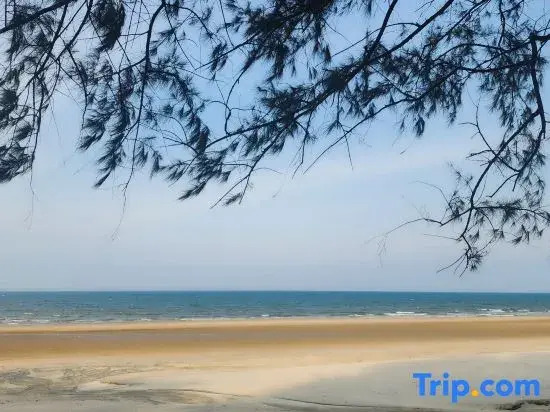 Samsuria Beach Suite Apartments