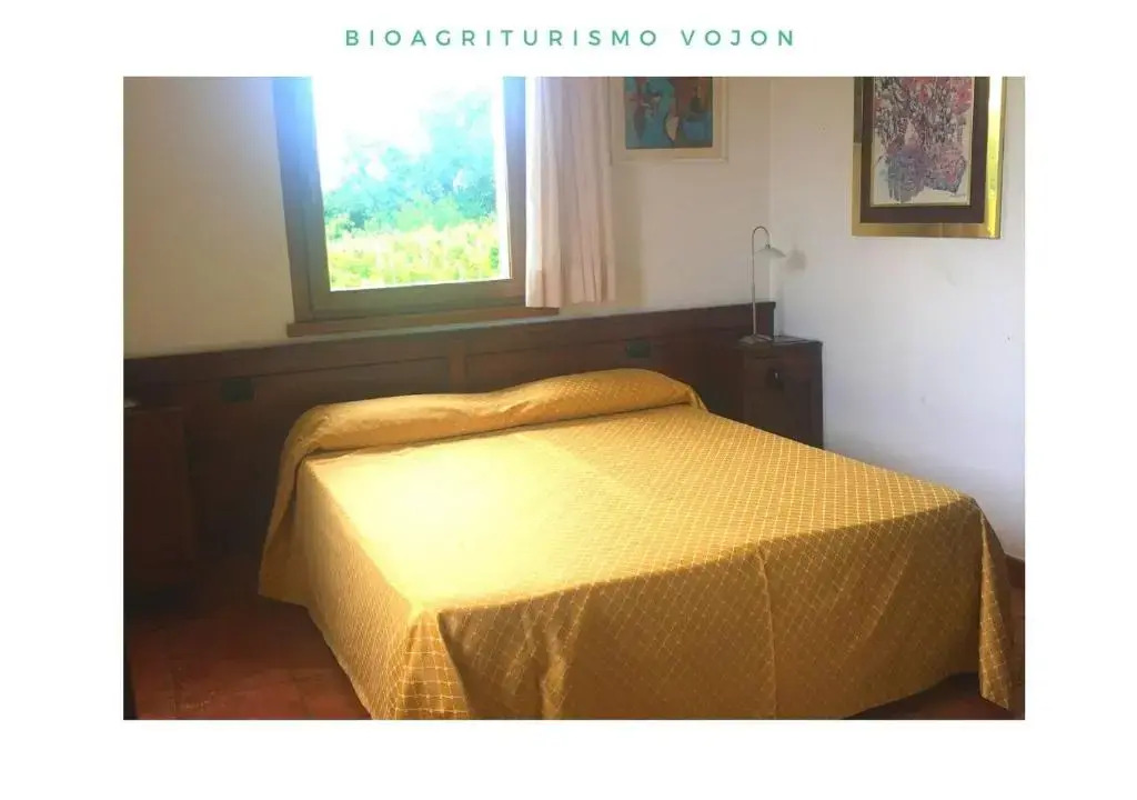 Bio Agriturismo Vojon