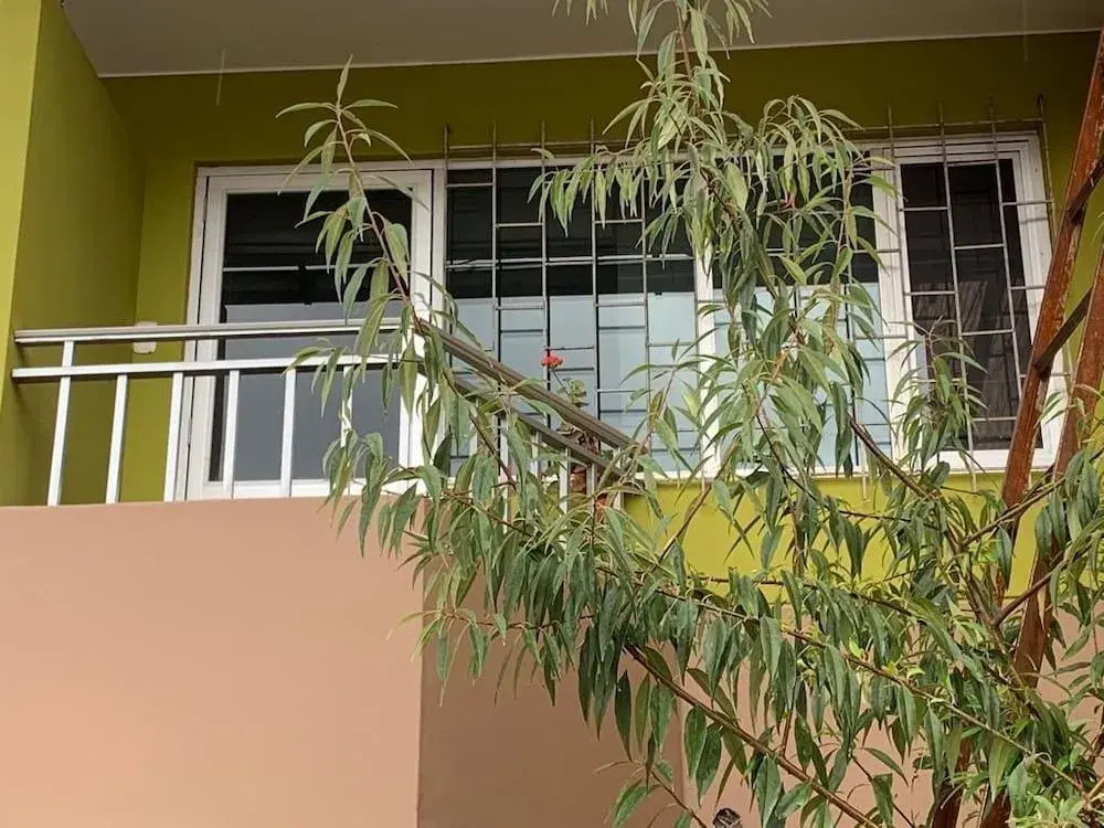 Pikaflor B&B