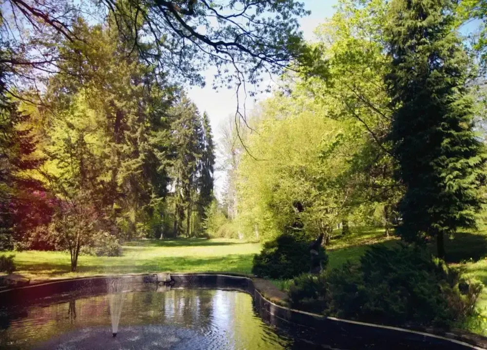 Country House in Czech Forest With Pool