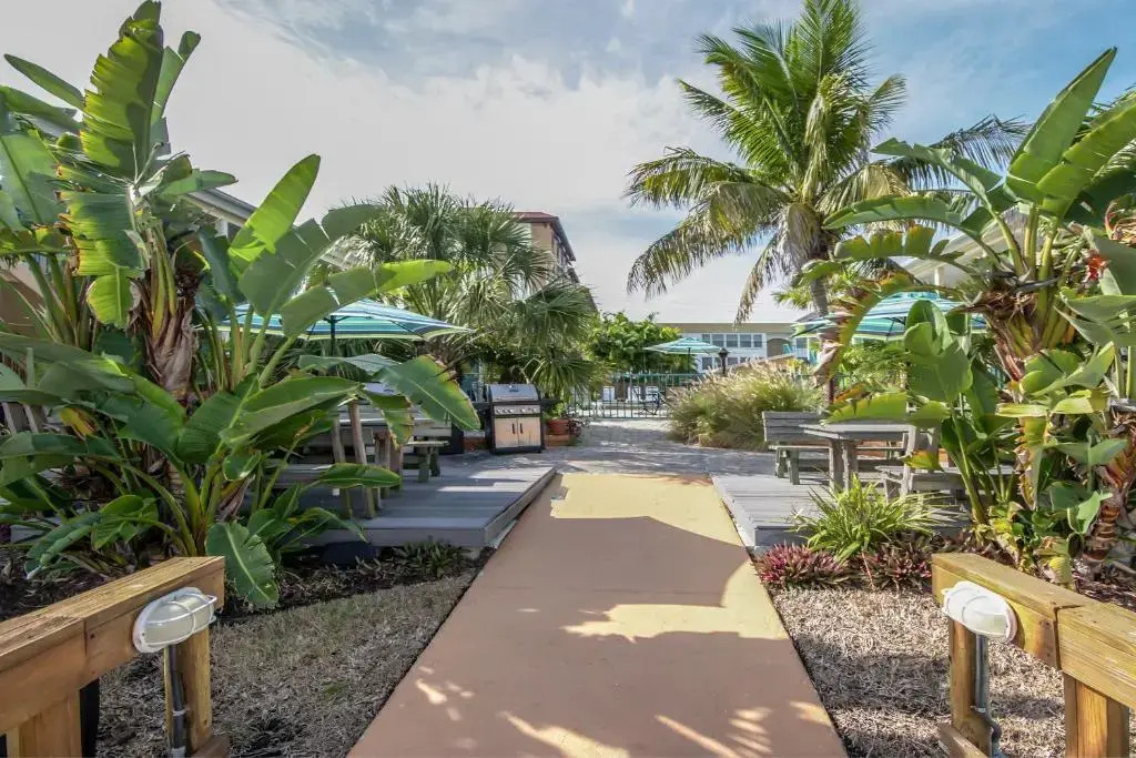 Five Palms Suite 210 - Daily - Weekly - Monthly