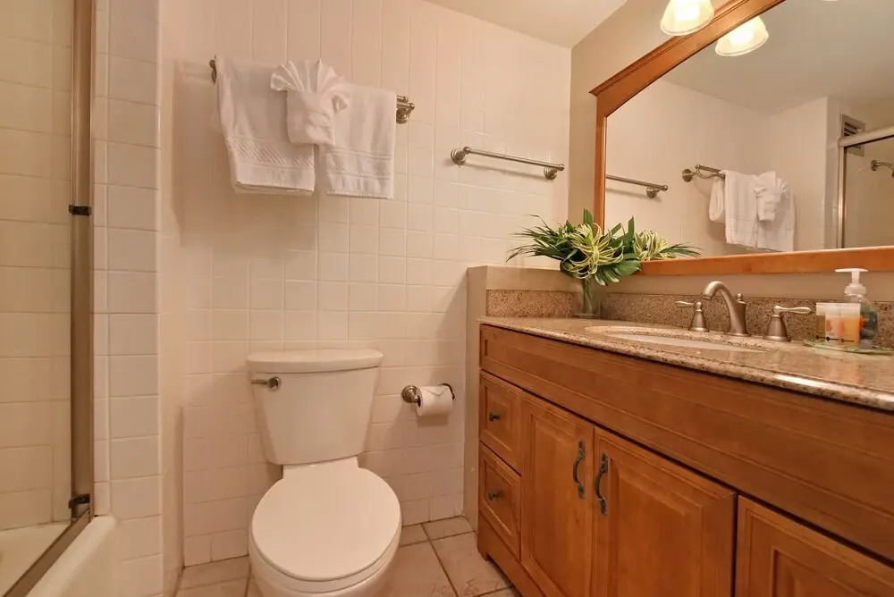 Kahana Reef 201 1 Bedroom 1 Bathroom Apts