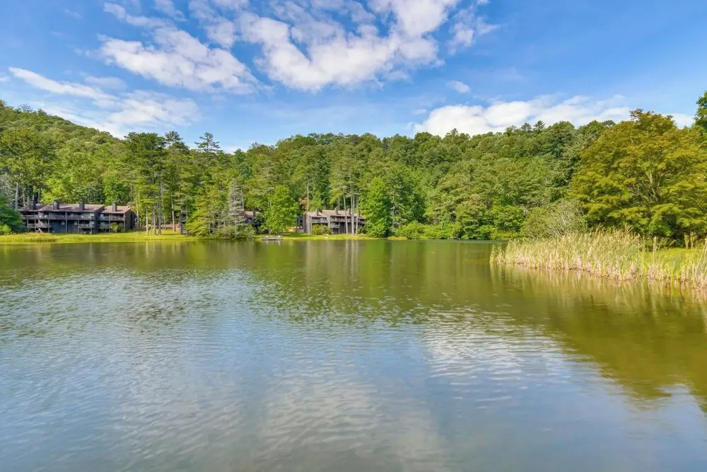 Newly Renovated: Pet-friendly Sapphire Retreat!