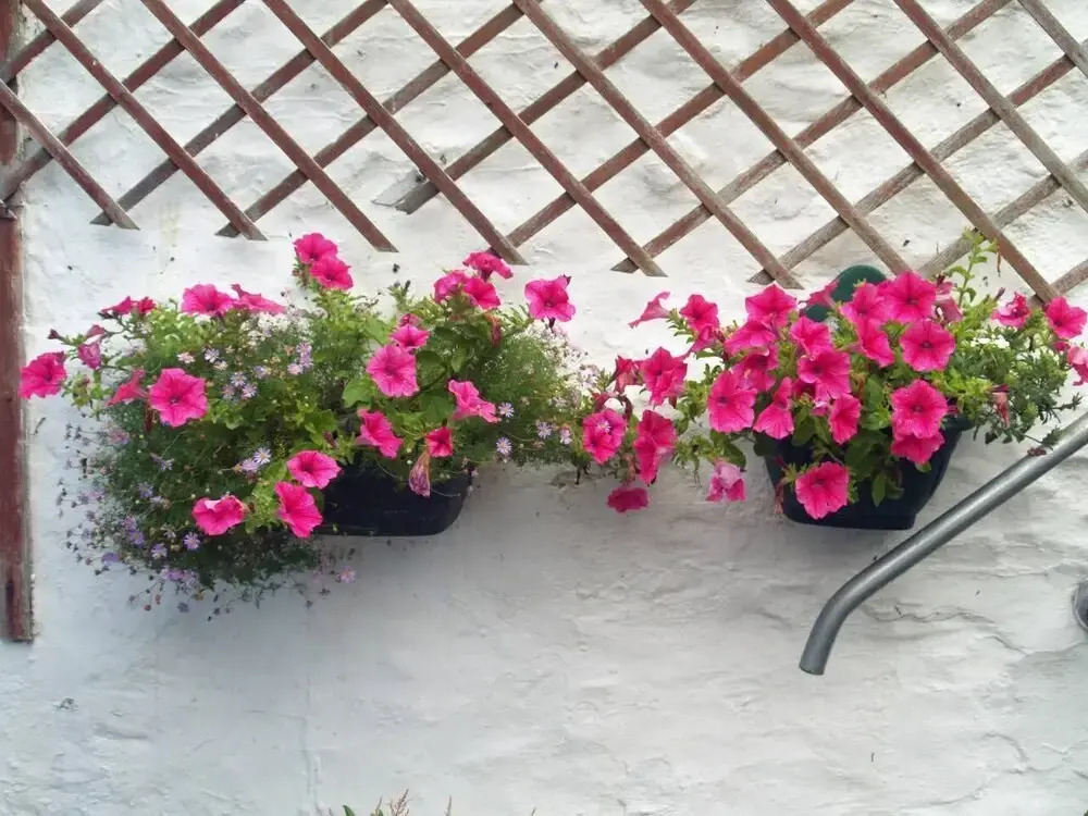 Period Living in Hayle