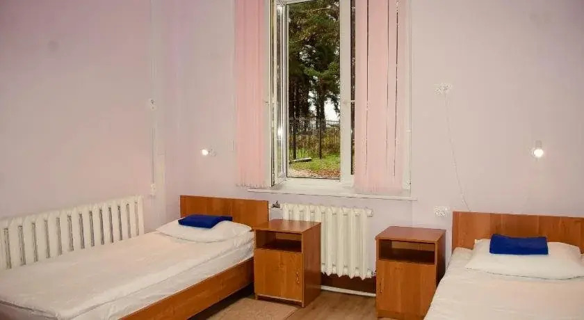 Bor na Volge Hostel