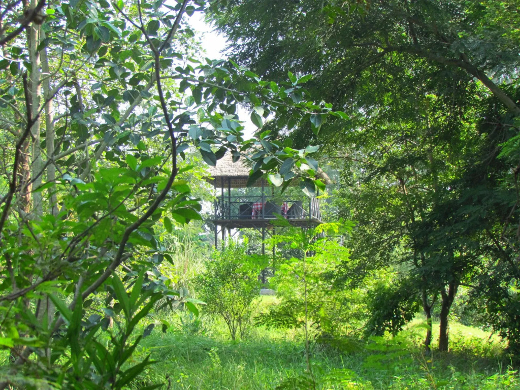 Jims Jungle Retreat