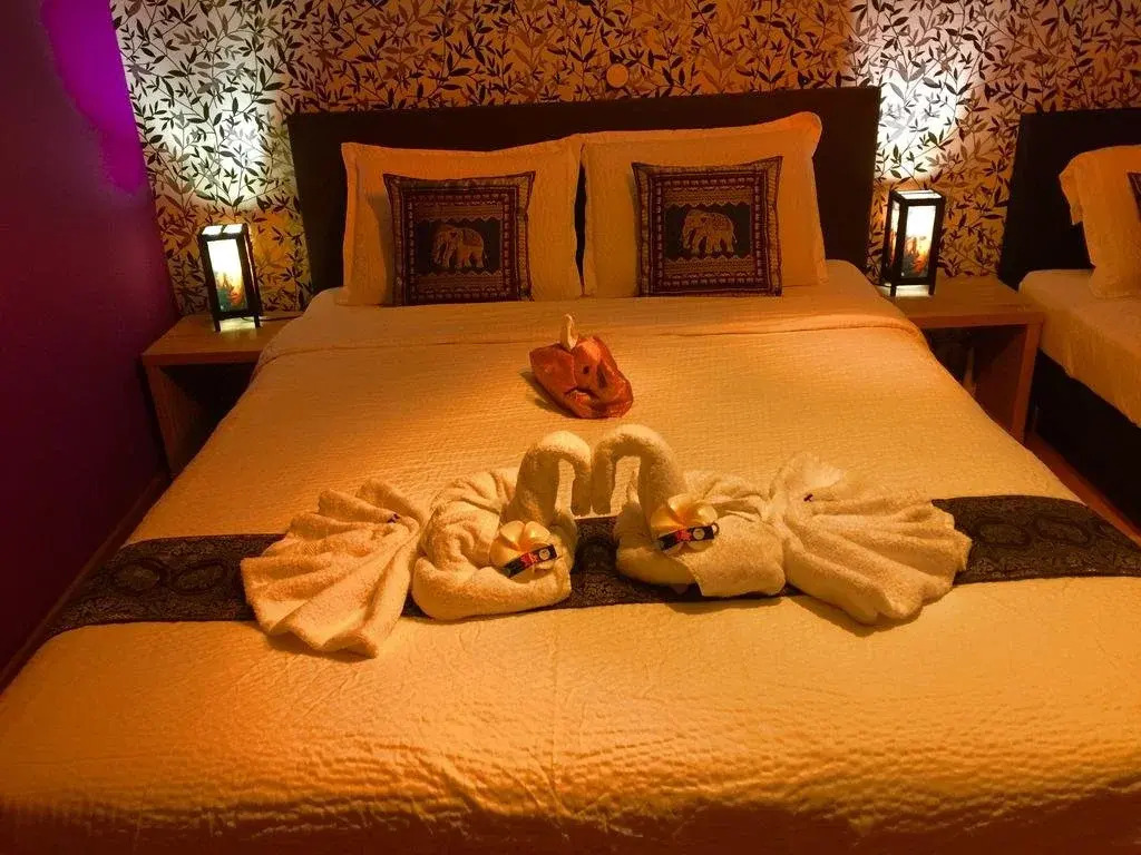 B&B Kookhai