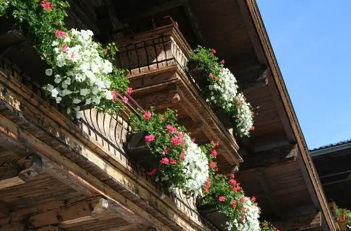 Hotel Thurnerhof