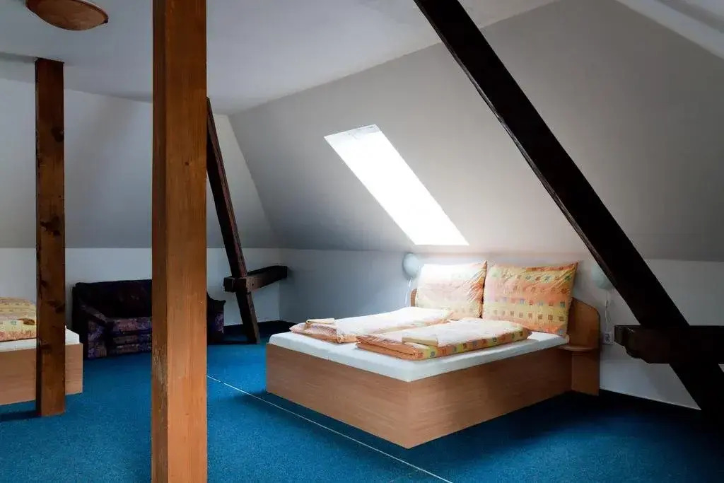 Hotel Konik