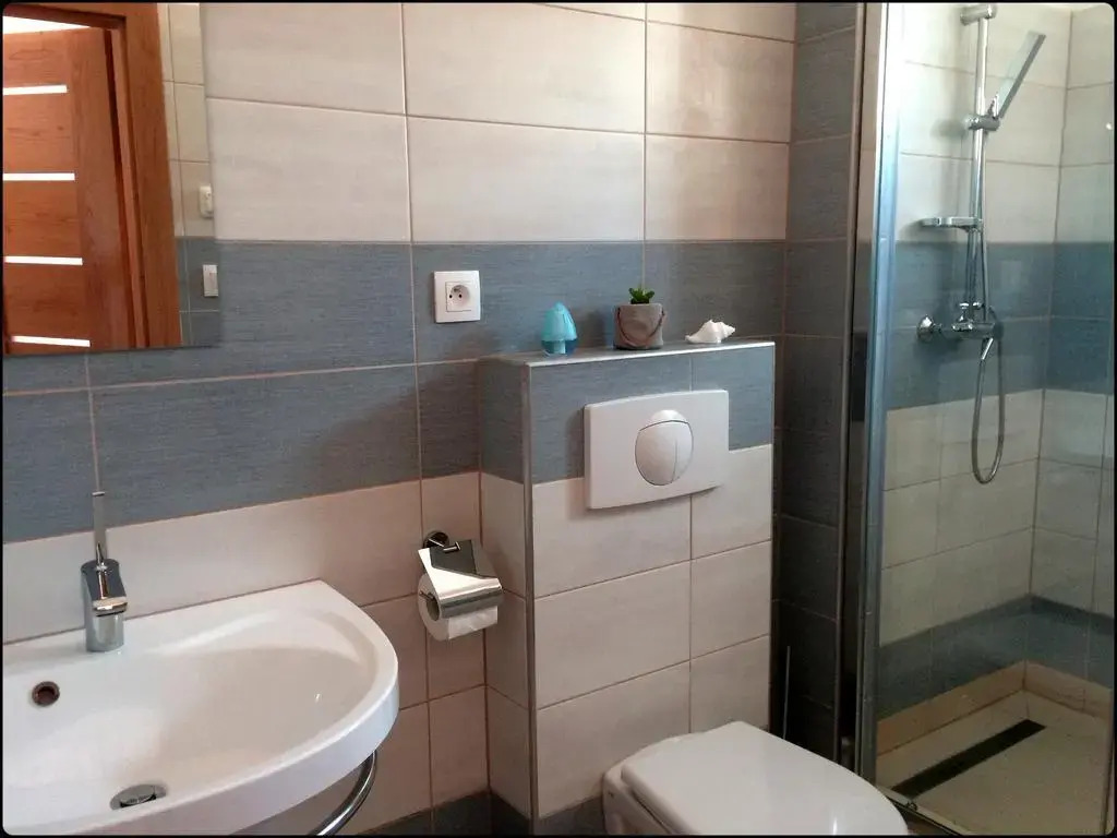 Apartment Krále Jiřího