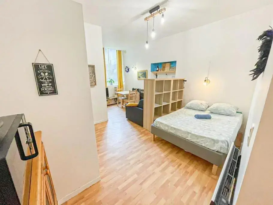 Cosy Apollo - T1- Hypercentre Quartier du Chateau