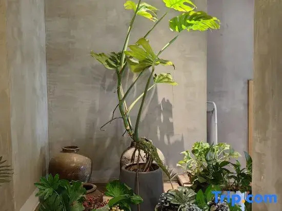 Yihe Hotel