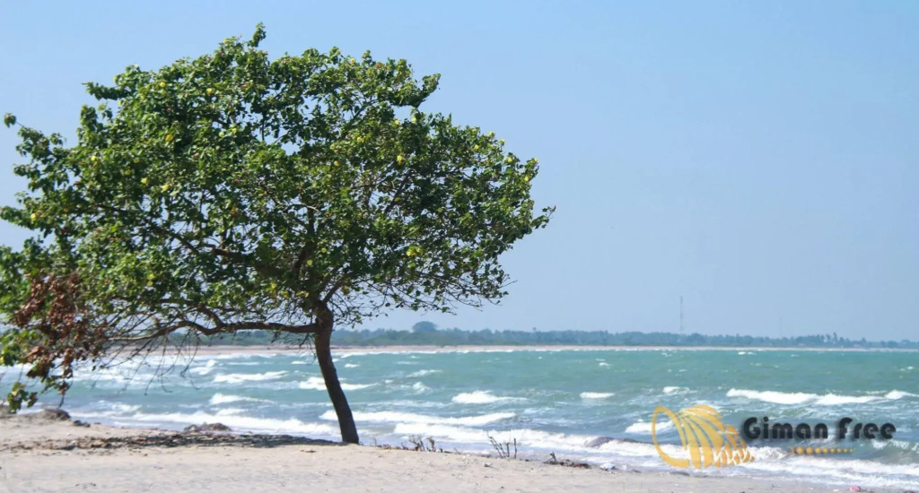 Giman Free Beach Resort Pasikuda