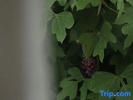 Zhi Lan Qiu Lakeside Homestay