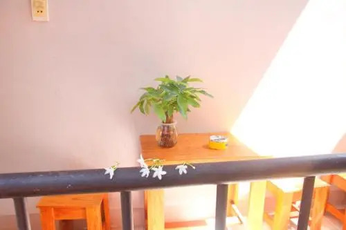 An Thi Homestay