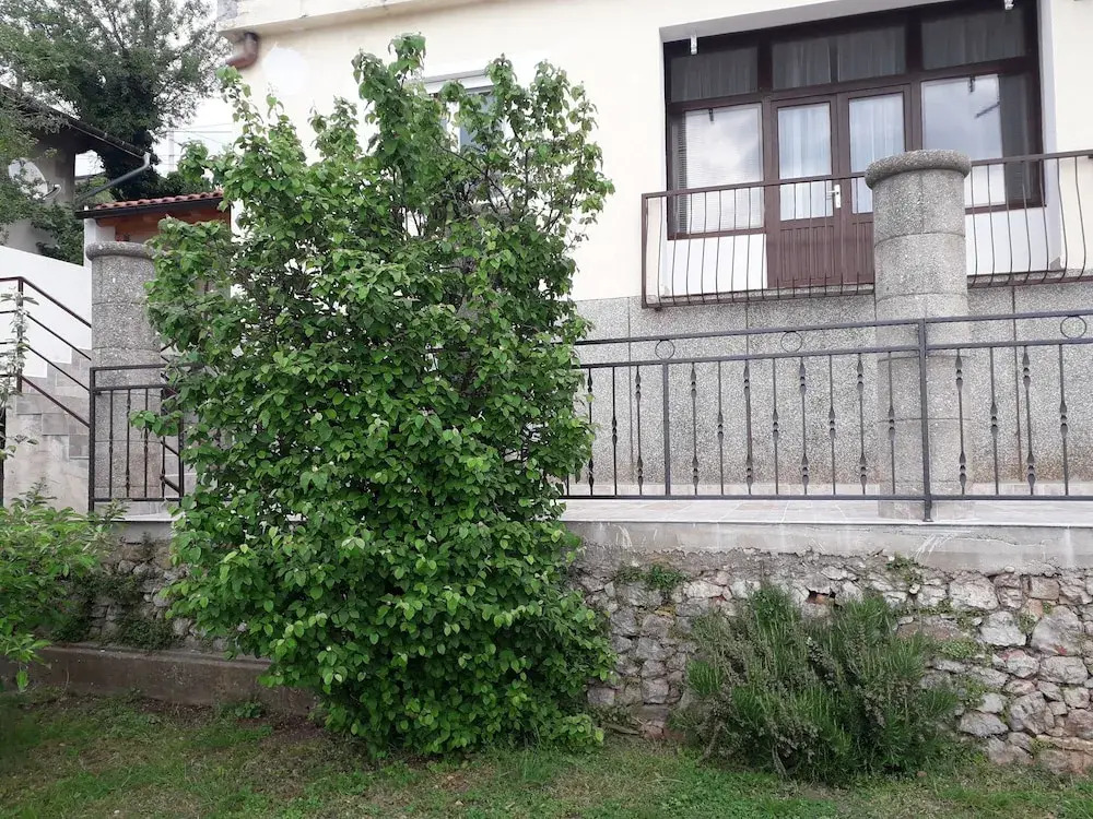 Apartment Melita