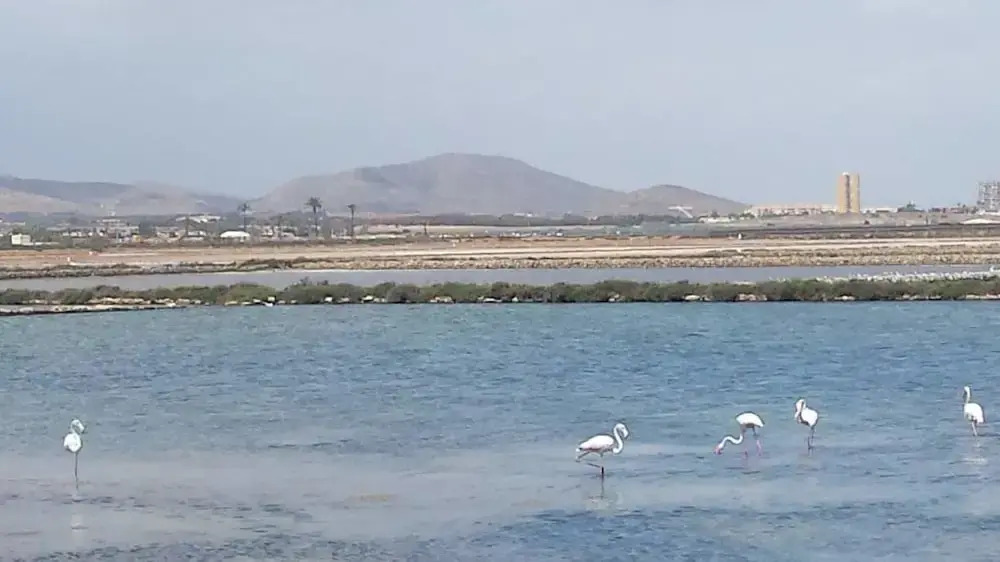 Inmovecos con vistas al mar Soling 80