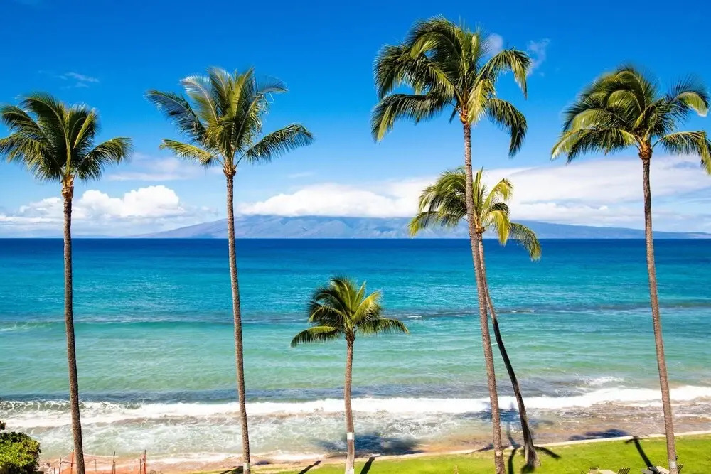 Maui Penthouse Paki Maui #409 1 Bedroom Condo by Redawning