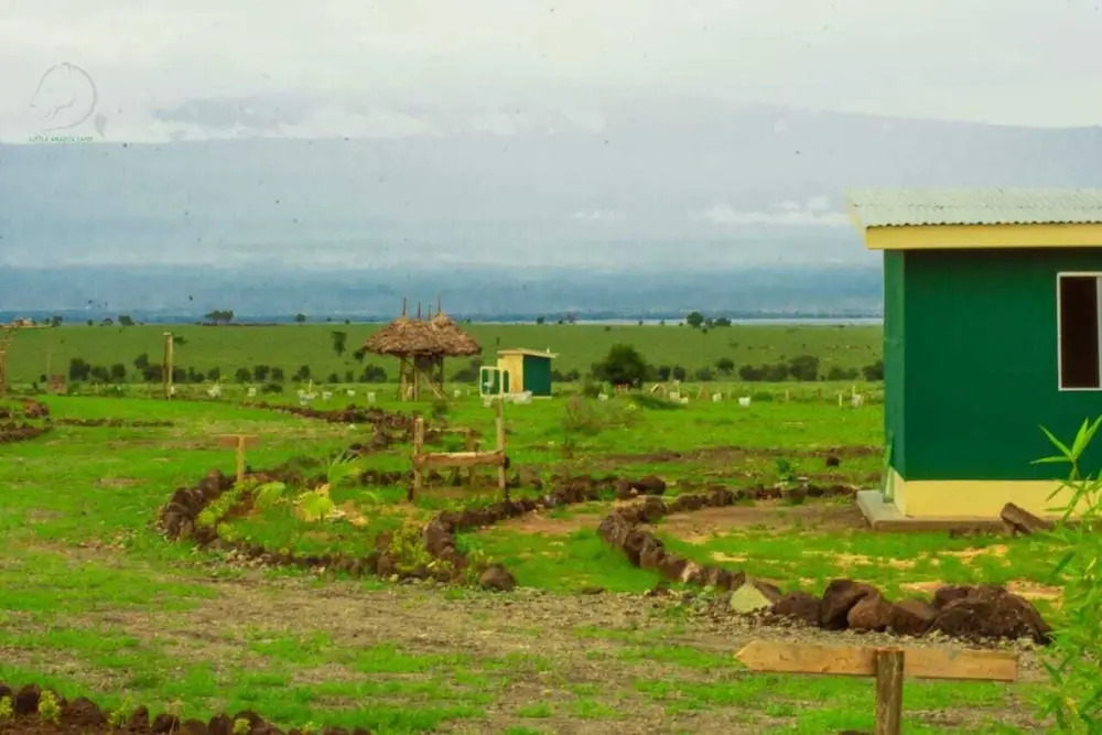 Amanya Camp Sleeps 2 with Wildlife Views