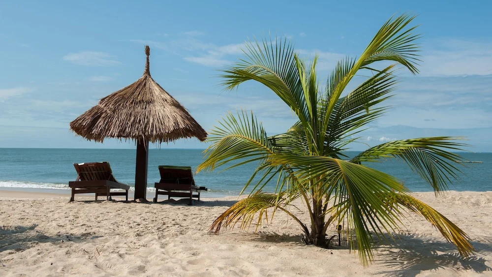 La Baie des Tortues Luth