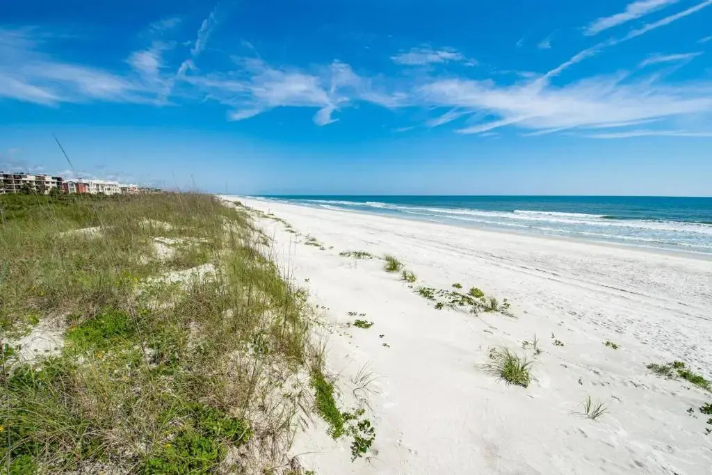 Sea Turtle Shores