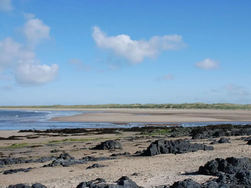 Maelog, 14 Tides Reach
