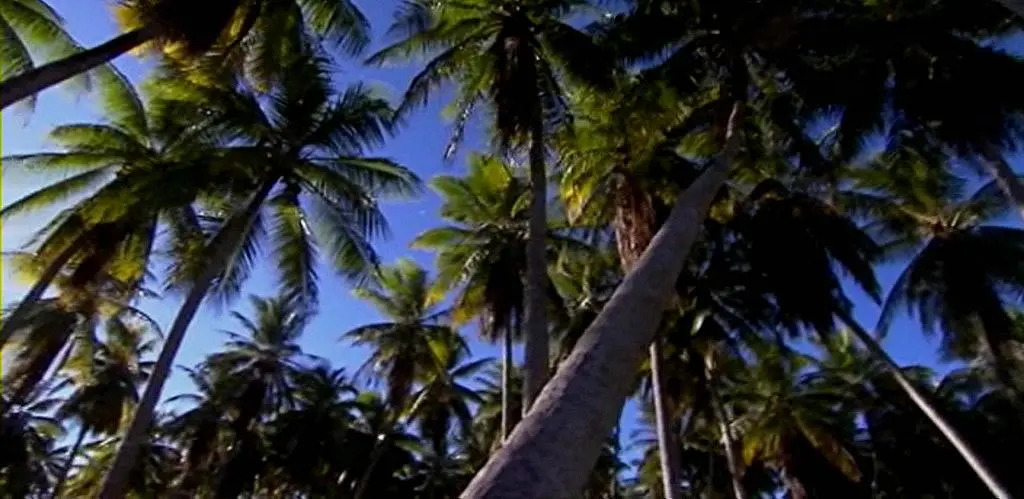 El Paradiso