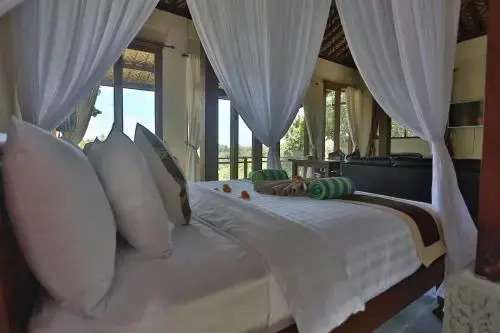 Bali Ubud Villa View