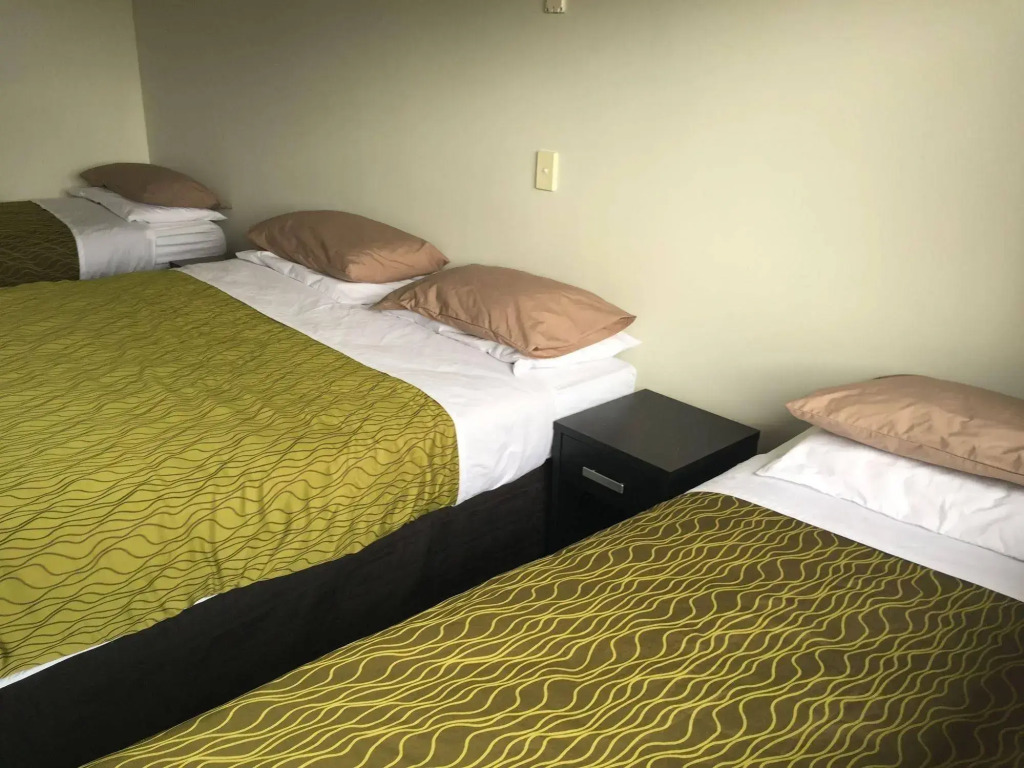 Tiki Lodge Backpackers