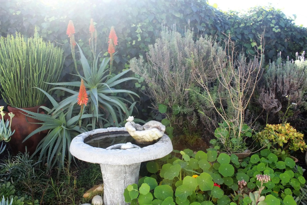 The Sun Catcher Bed & Breakfast