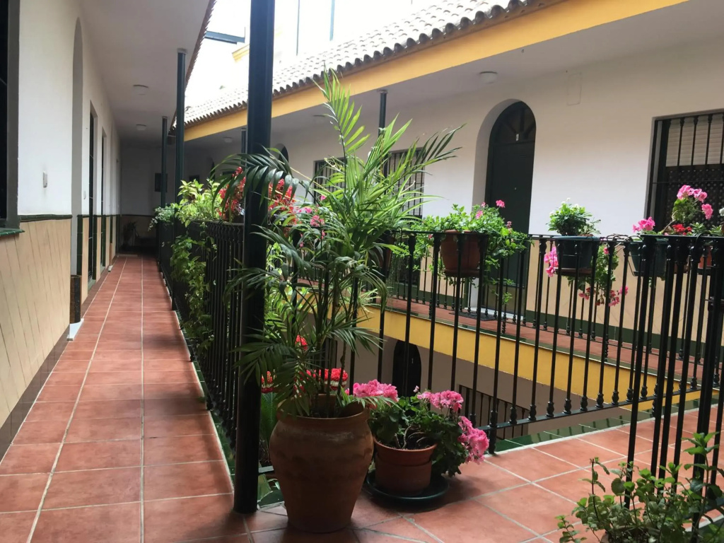 Cosy Apartment with Terrace in the Centre of Seville