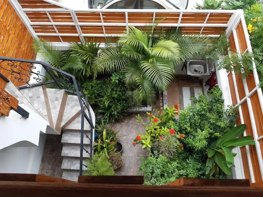 A & P House